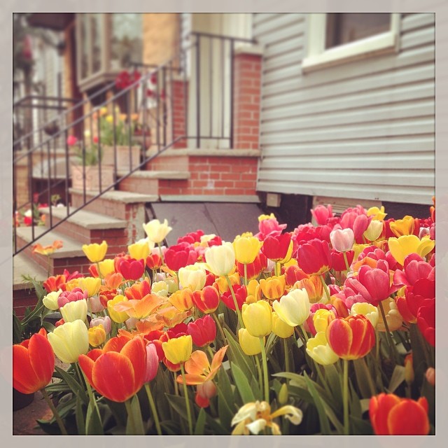 Spring in Greenpoint