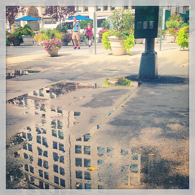 Madison Sq Park Morning