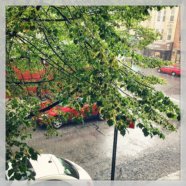 Brooklyn Spring to Summer Storm 