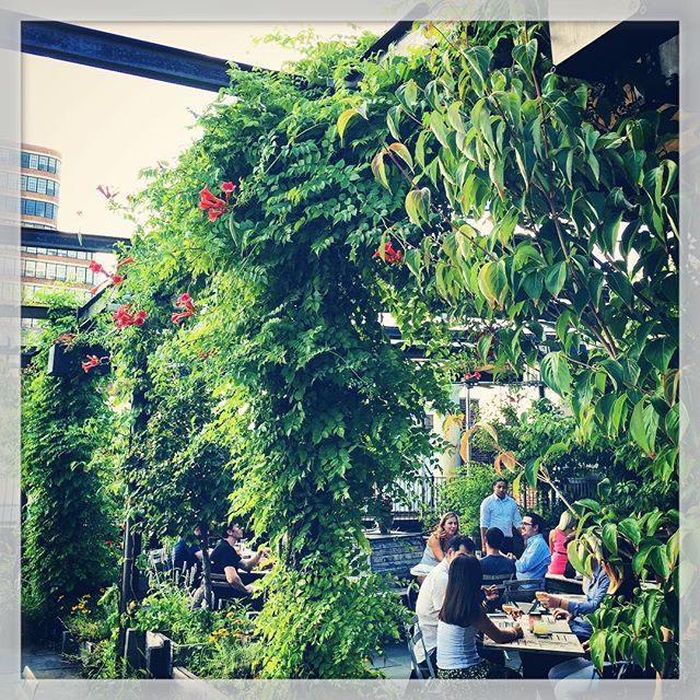 Rooftop Cocktails in Chelsea 