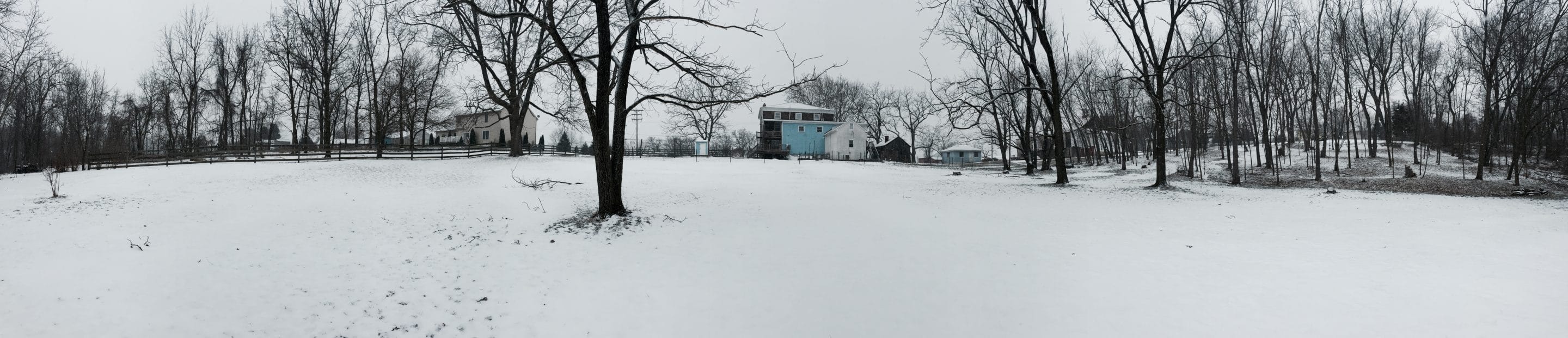 bottom field panorama