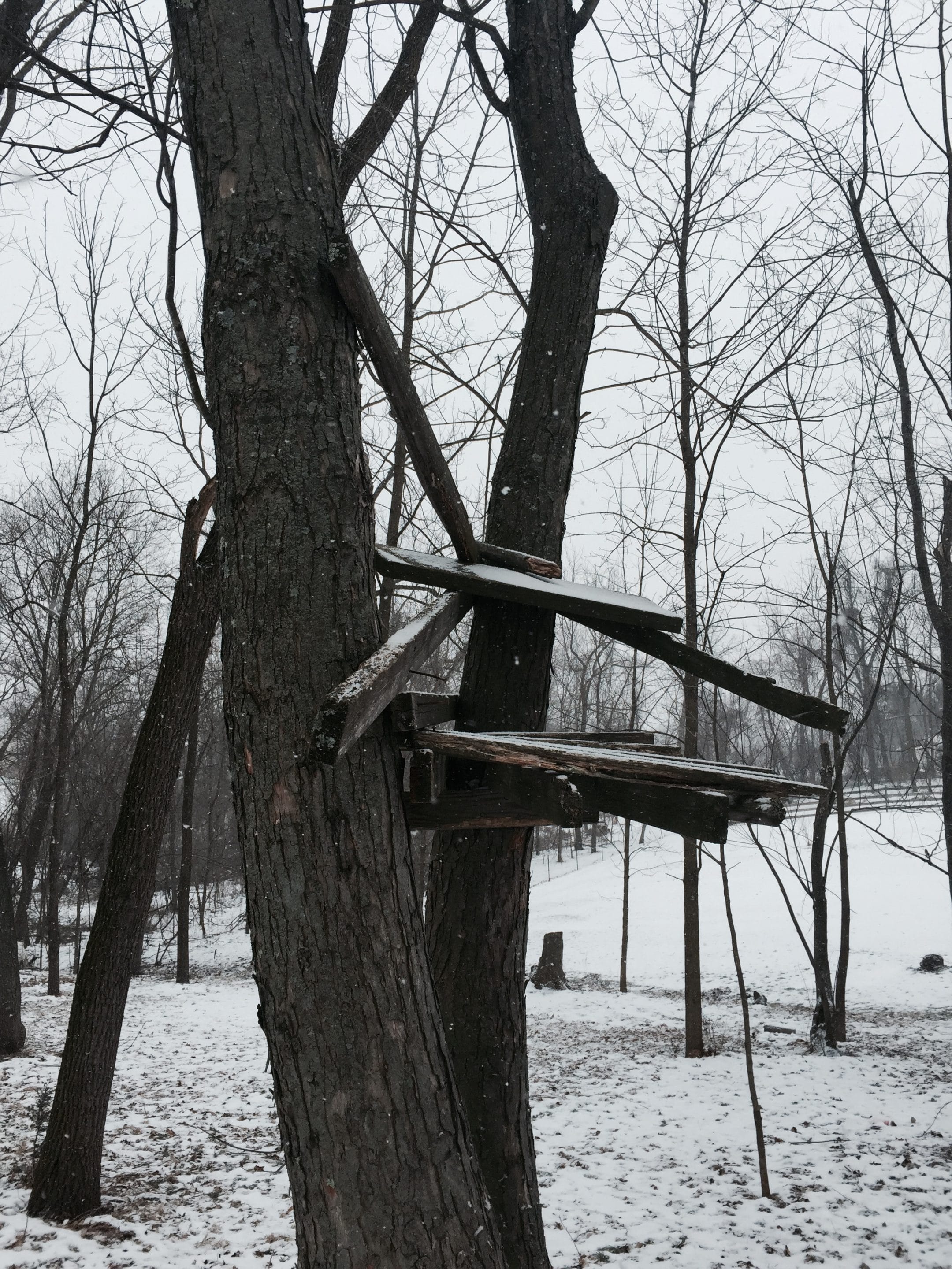 the old lookout post