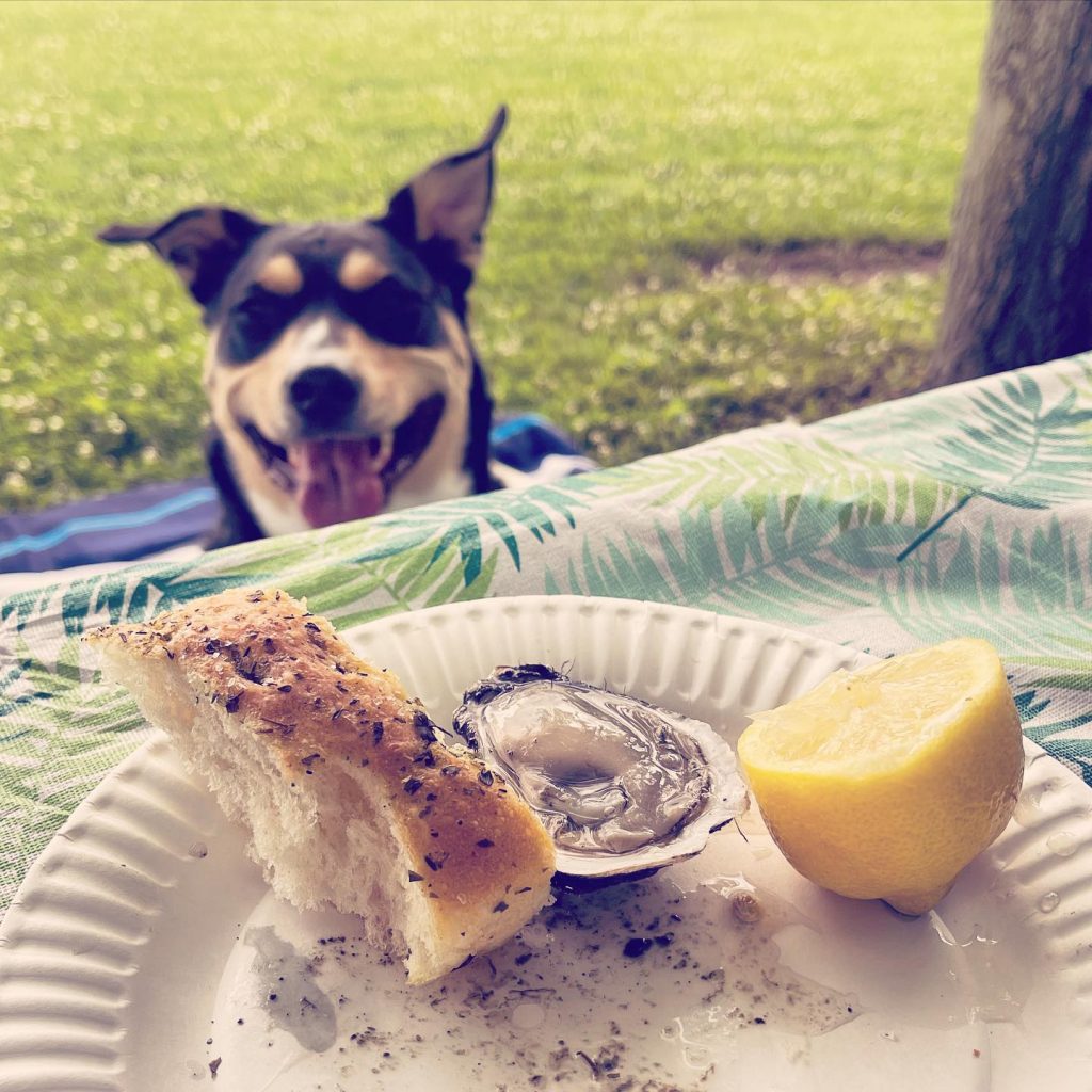 4th of July Park & Oyster Shucking