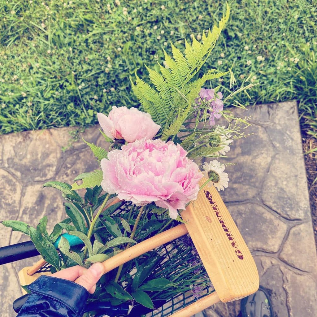 Rainy day flower & herb haul