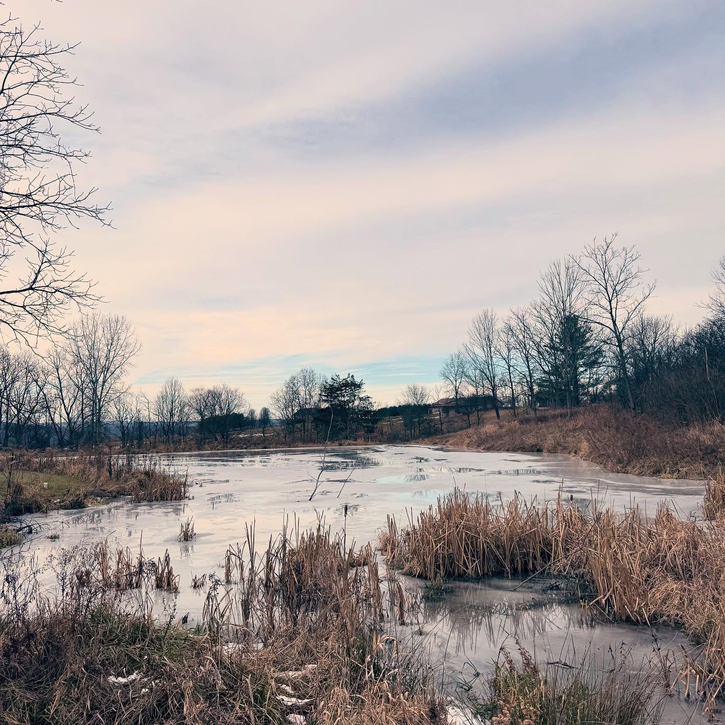 The freeze and thaw of our pond