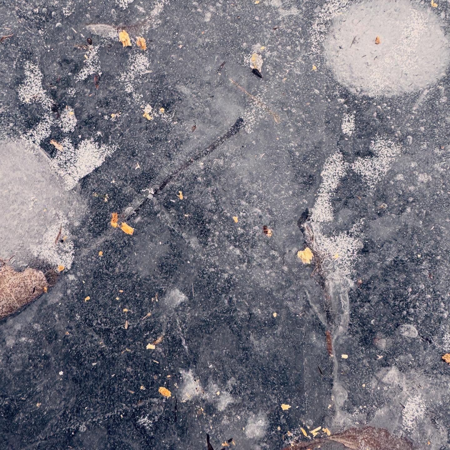 Icy Surface with Leaves and Debris