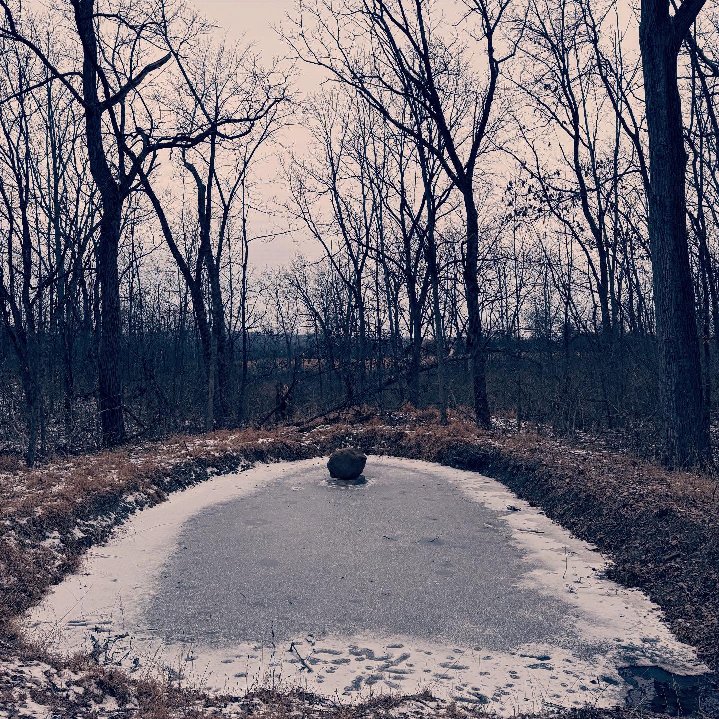 Frozen Pond in Winter Woods